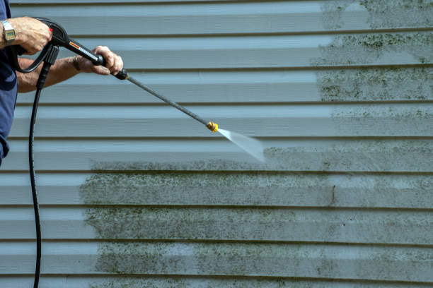 Best Roof Washing  in Woodlawn, OH